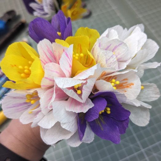 Krokusse_01a